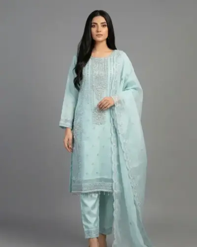 Embroidered Organza 3-Piece Suit | KQ164