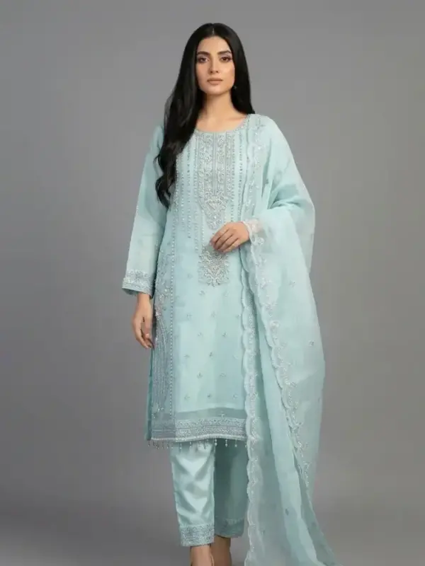 Embroidered Organza 3-Piece Suit | KQ164