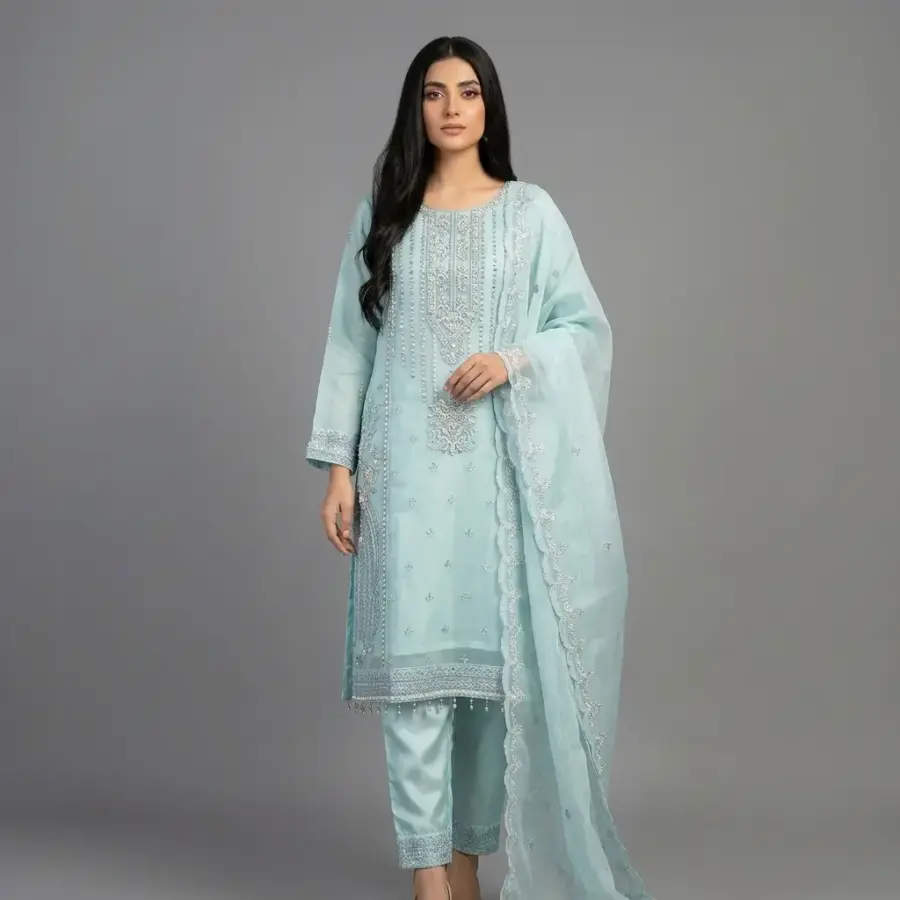 Embroidered Organza 3-Piece Suit | KQ164